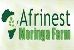 Logo Afrinest Moringa Farm