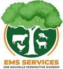 Logo EMS Services